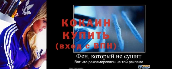 дмт Богородск