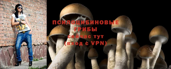 MDMA Белокуриха