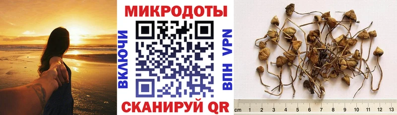 дарнет шоп  Невель  Псилоцибиновые грибы мицелий 